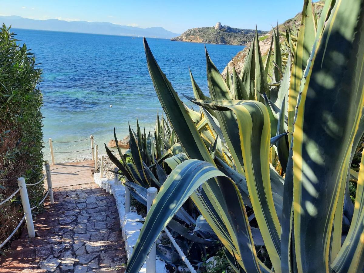 Apartament Zenflamingo Mini Monolocale Cagliari Zewnętrze zdjęcie